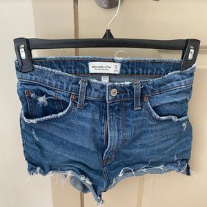 Abercrombie High Rise Mom Short Curve Love